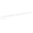 Amylin, amide, human