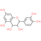 Leucocyanidin