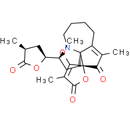 Protostemotinine