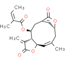 Isoscabertopin