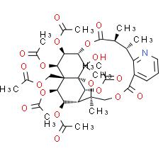 Euonymine