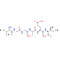 C-Reactive Protein (CRP) (77-82)