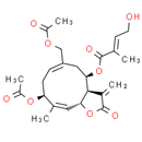 Eupalinolide B