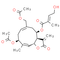 Eupalinolide B