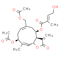 Eupalinolide B