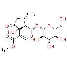 Hastatoside