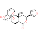 Isocolumbin