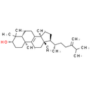 Euphorbadienol