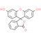 Fluorescein