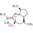 Isocurcumenol