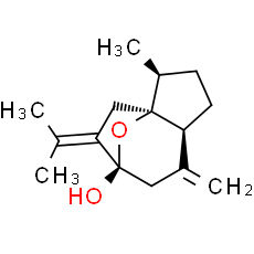 Isocurcumenol