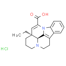 Apovincaminic acid hydrochloride salt