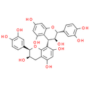 Procyanidol B4