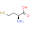 L-Homocysteine