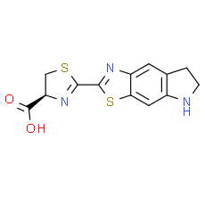 CycLuc1