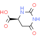 L-Dihydroorotic acid