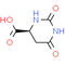 L-Dihydroorotic acid