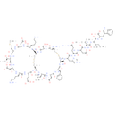 Sarafotoxin S6a