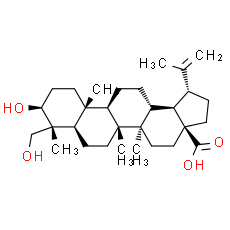 23-Hydroxybetulinic acid