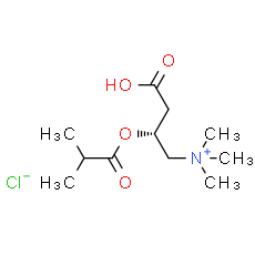 Isobutyryl-L-carnitine chloride