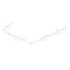 C-Peptide 2, rat
