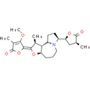 Protostemonine