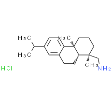 Leelamine hydrochloride
