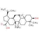 Epibetulinic acid