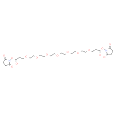Bis-PEG7-NHS ester