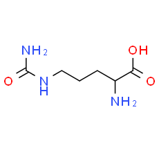 2-Amino-5-ureidopentanoic acid