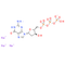 Deoxyguanosine triphosphate trisodium salt