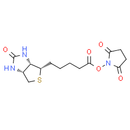 Biotin NHS
