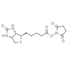 Biotin NHS