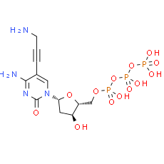 5-Propargylamino-dCTP