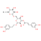Isoforsythiaside