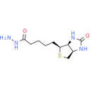 Biotin Hydrazide - CAS