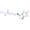 Biotin Hydrazide - CAS# 66640-86-6