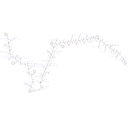 Adrenomedullin (AM) (1-52), human