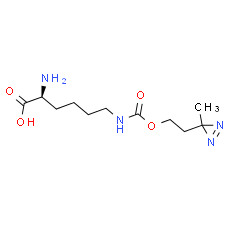 H-L-Photo-lysine