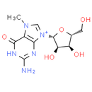 7-Methylguanosine