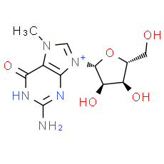 7-Methylguanosine