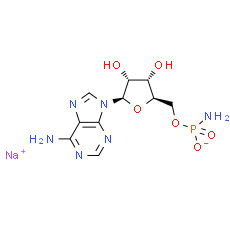 Adenosine 5′-monophosphoramidate sodium