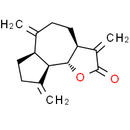 Dehydrocostus Lactone