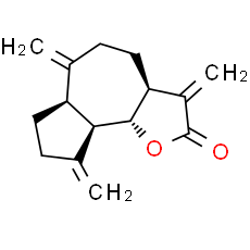 Dehydrocostus Lactone