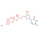 dUTP sodium