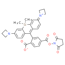 JF646, SE