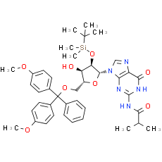 5'-O-DMT-2'-O-iBu-N-Bz-Guanosine