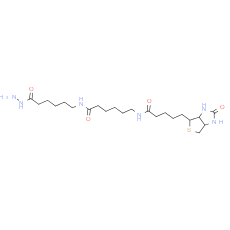 Biotin-XX hydrazide