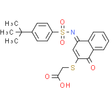 KPT-6566