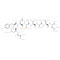 HIV p17 Gag (77-85)